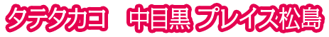 タテタカコ 中目黒 プレイス松島